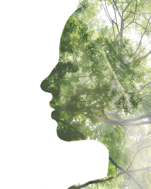 Meanings of Natural